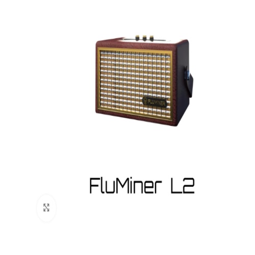 Fluminer L2 1Gh/s 230W